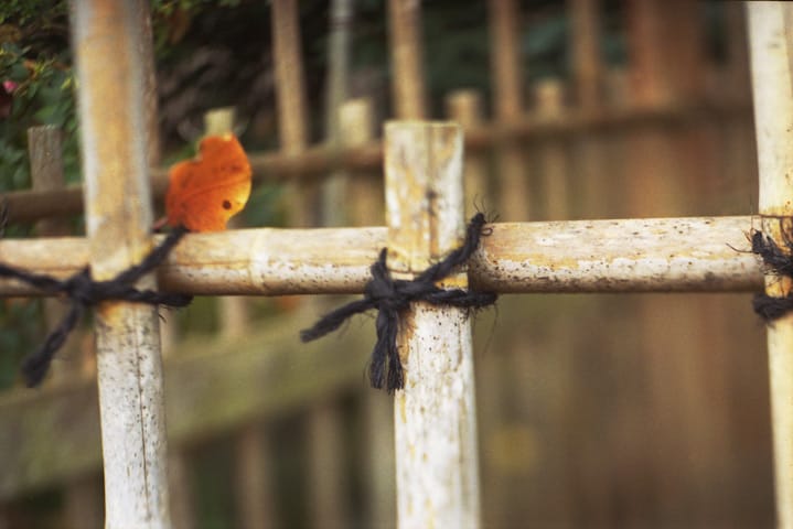 Knot, Fence, Leaf