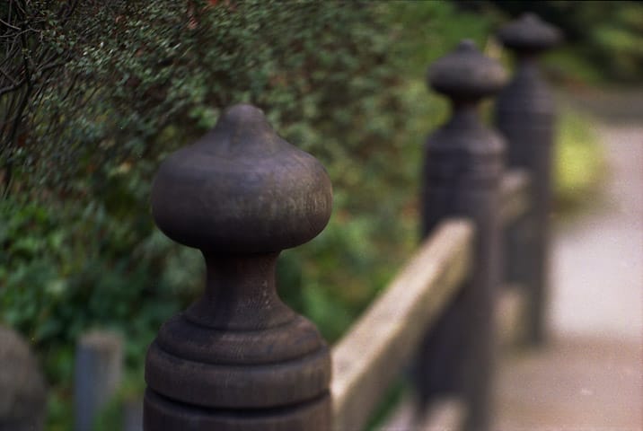 Japanese Tea Garden Bridge