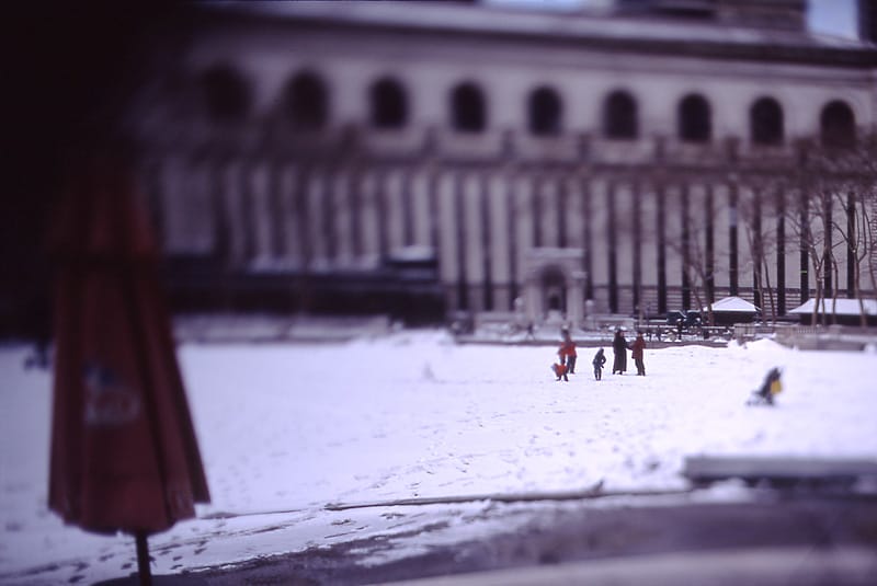 Playing in the Snow