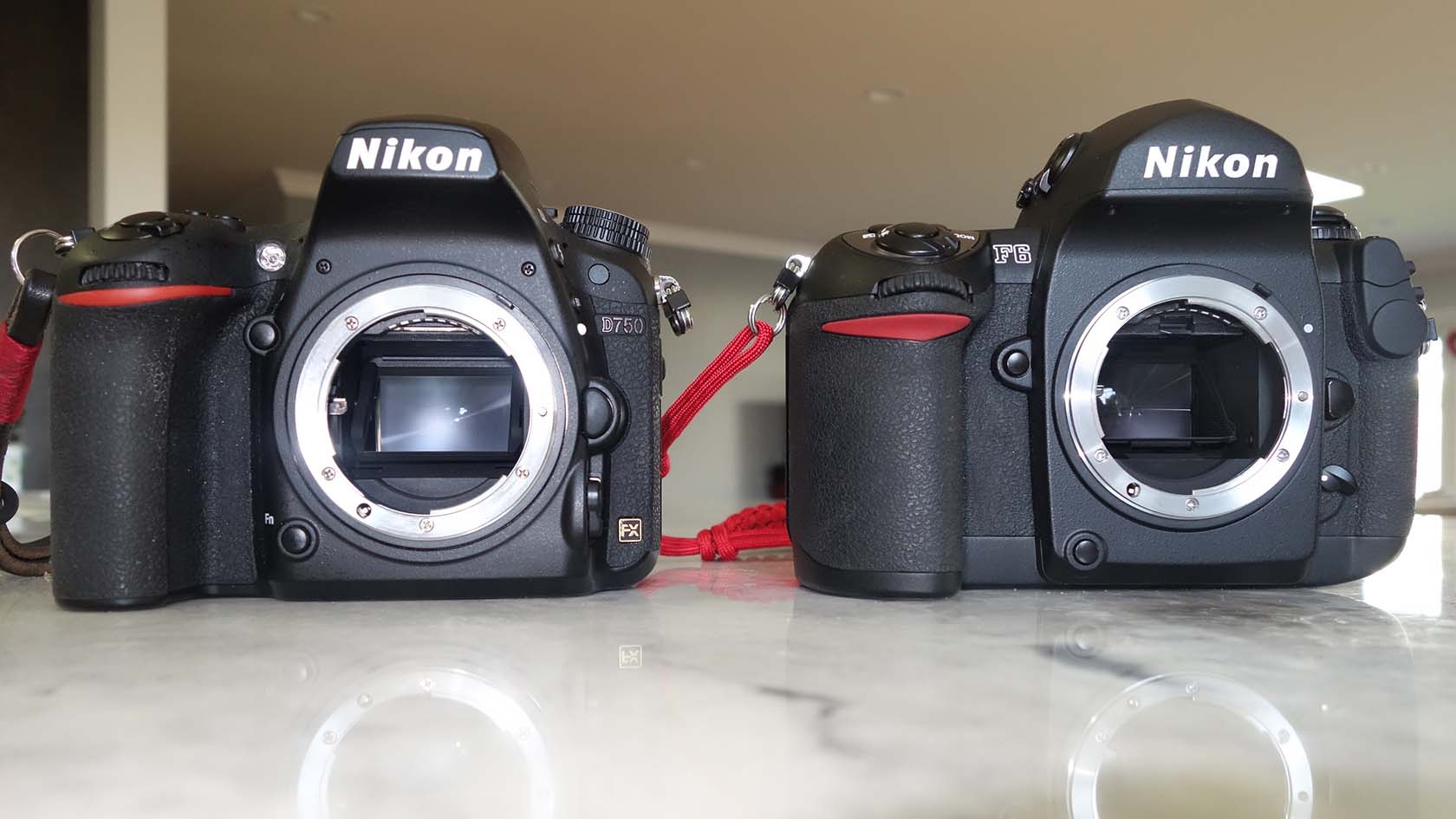 Nikon D750 on left, Nikon F6 on right