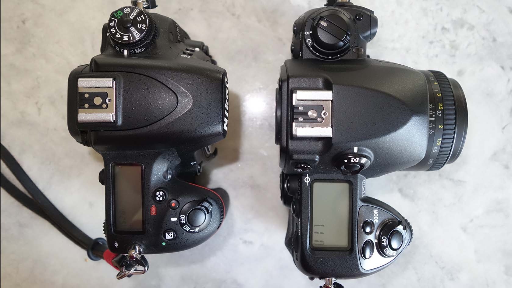 Nikon D750 on left, Nikon F6 on right