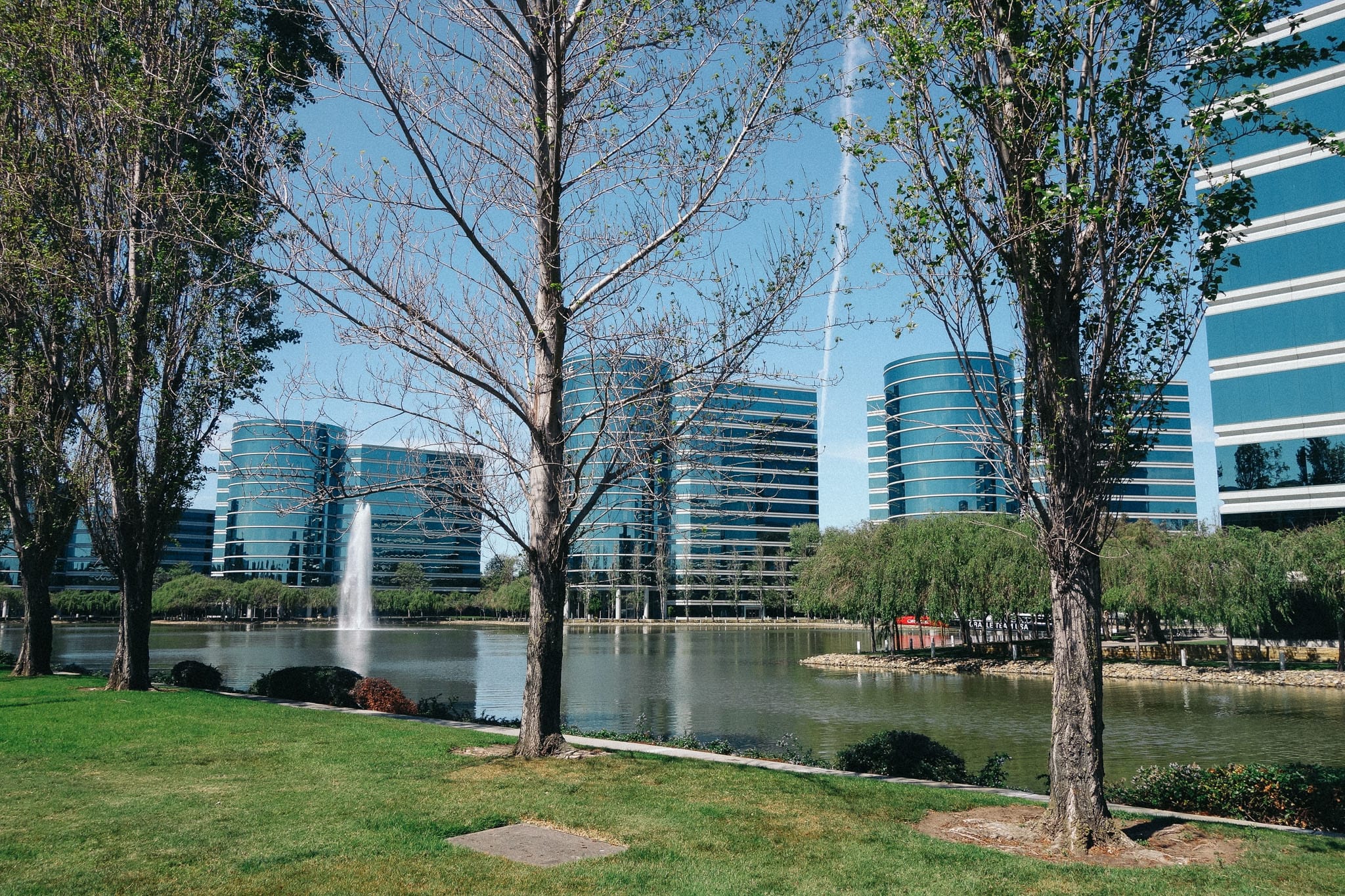 Oracle Headquarters, Redwood Shores, CA