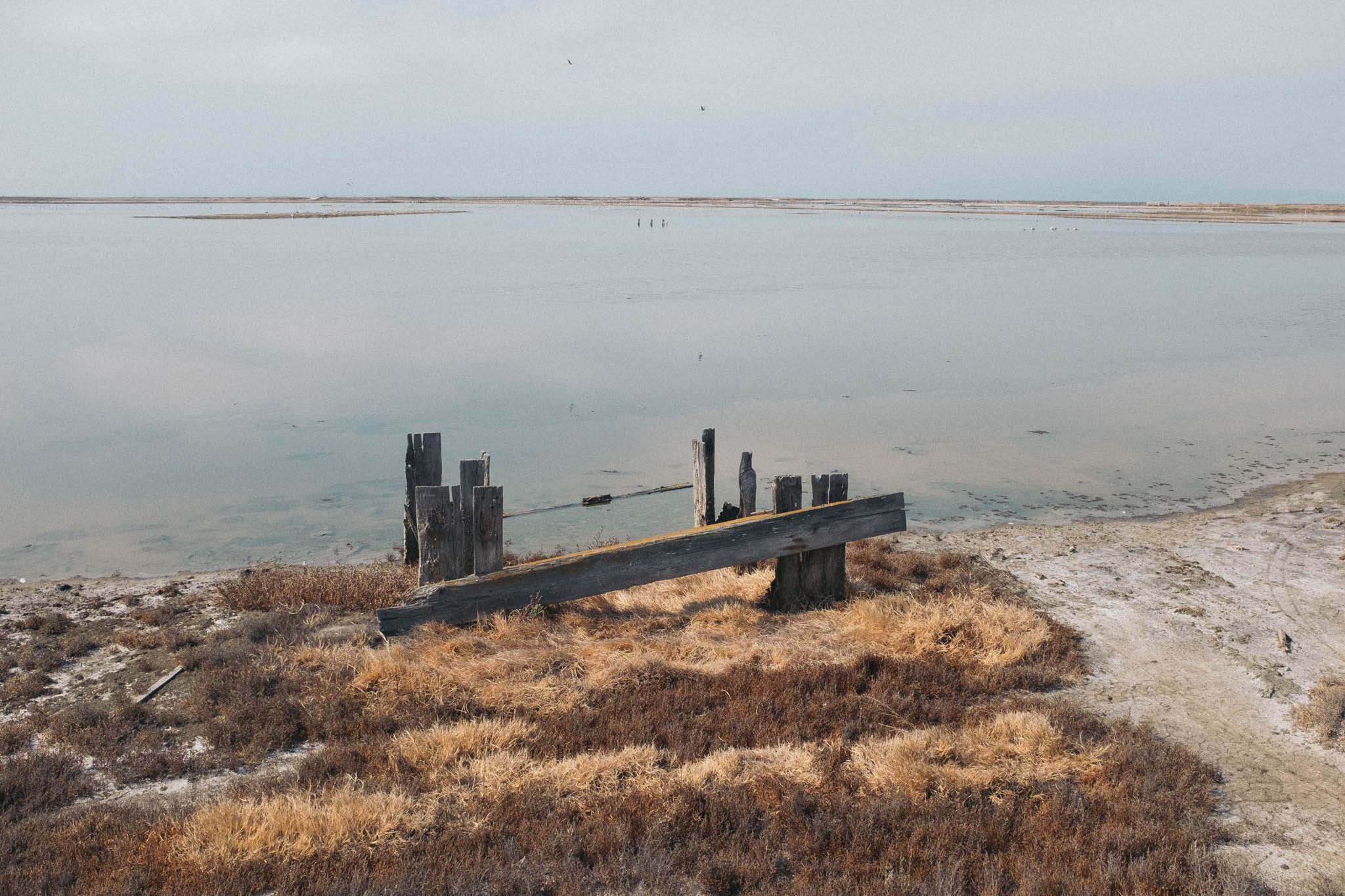 Eden Landing Salt Ponds